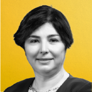 Prof. Dr. Nilüfer Pembecioğlu